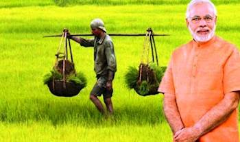 22 விளை பொருட்களுக்கான குறைந்தபட்ச ஆதரவு விலை அதிகரிப்பு - மத்திய அரசு!!