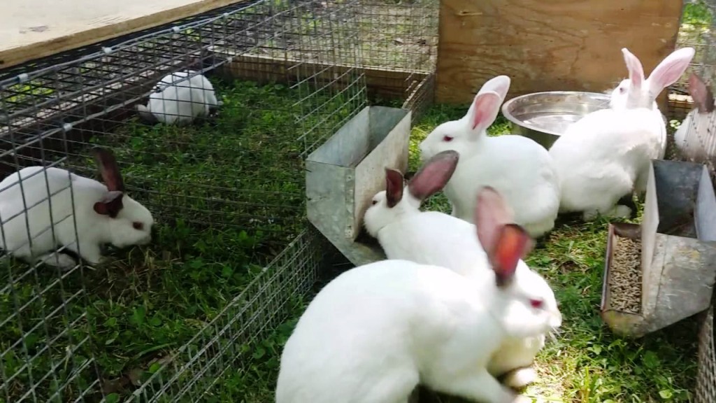 உங்களின் அனைத்து கேள்விகளுக்கும் விடையளிக்கும் பதிவு