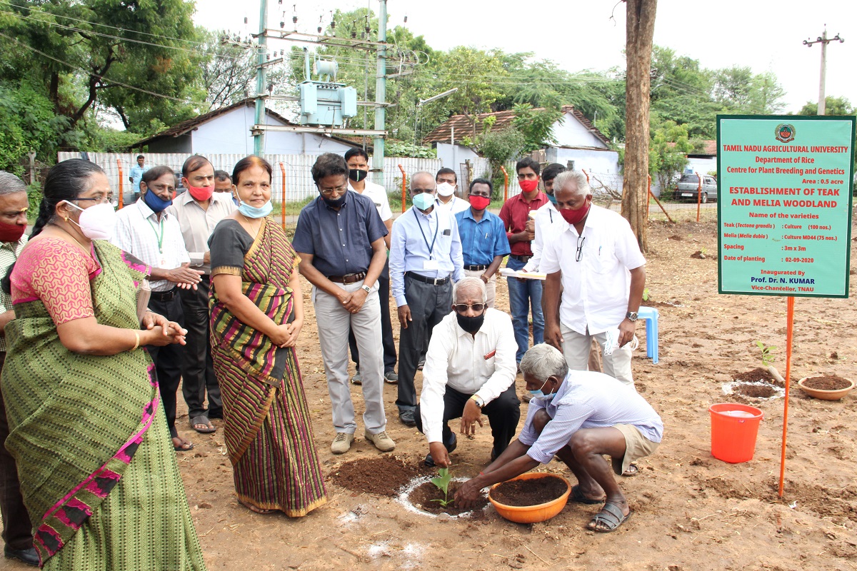 Cultivable Land Meaning In Tamil